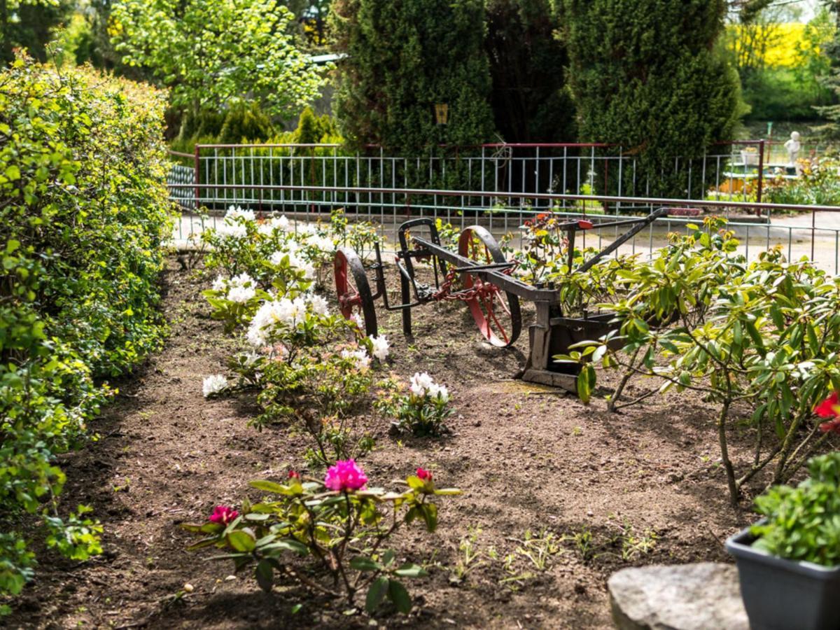 Gartenbungalow 2 Rechte Seite Klein Pravtshagen Rom bilde